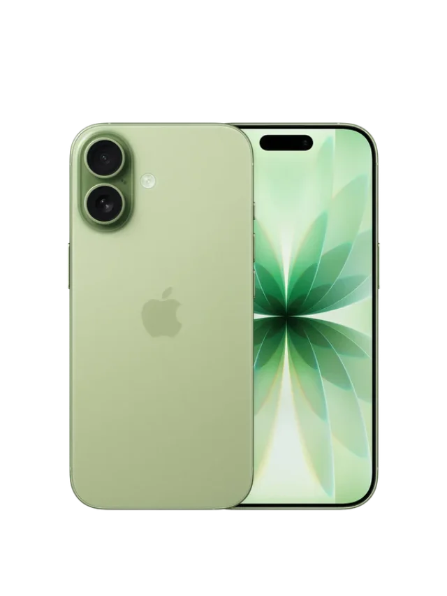 33_063afaa7-9198-41f8-8e58-752df84e7615_800x